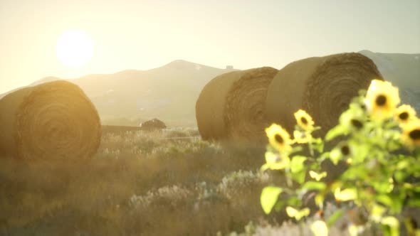 Hay Bales in the Sunset