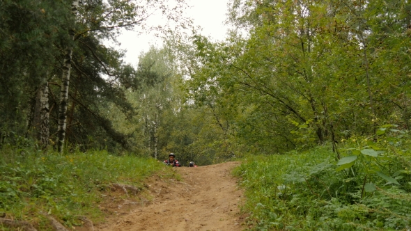 Dad And Son Go For a Drive In The Woods On Bicycles. Celebrate The Victory 