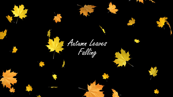 Autumn Leaves Falling