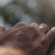 Cute Hands Touching. Hands Of Wedding Couple With Wedding Rings On Fingers. Bride Strokes - VideoHive Item for Sale
