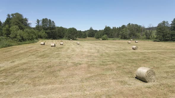 Many bales of hay on the field