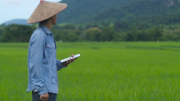 Farmer Using Tablet On Green Rice Fields