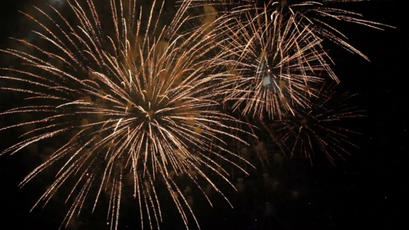 Fantastic Spectacular Fireworks On Black Background