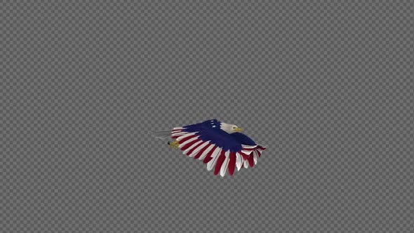 American Eagle - USA Flag - Flying Loop - Side View 4K