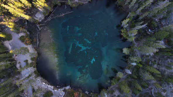 Drone aerial vertical view of Grassi Lake and its transparent waters from above surrounded by woods