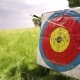 People Shooting Arrows, Target Is In a Lovely Green Field Of Grass. - VideoHive Item for Sale