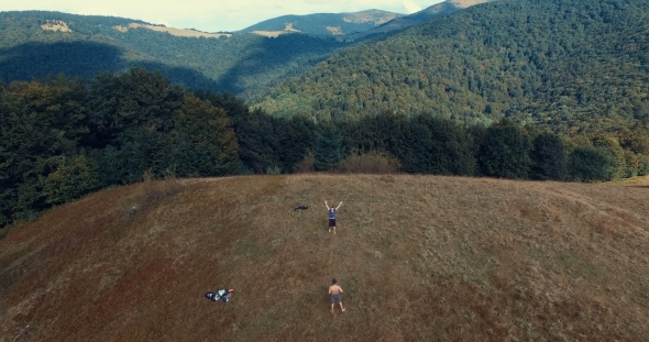 Mountain Forest and Meadow in Summer