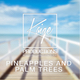 Pineapples And Palm Trees