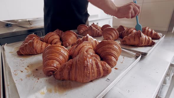 Baker Greases Freshly Baked French Croissants with Ghee at Bakery