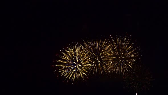 Colorful Firework display at night on sky background