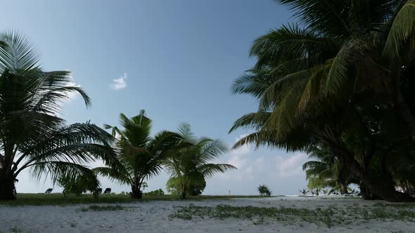 Time Lapse. Maldives Island with Palms and White Sand. Cloudy Sky.