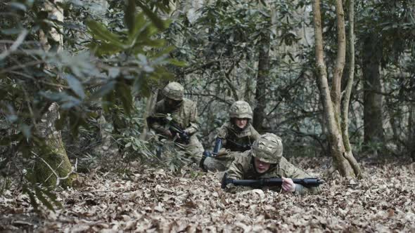 Army Exercise in Forrest