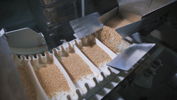 Modern Food Industry. Automatic Machine For Packing Cereals.