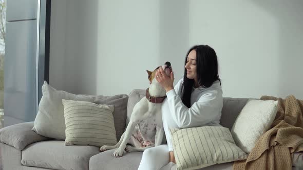 Attractive Girl Petting Her Purebred Dog While Sitting on the Couch in a Modern Apartment. Hobbies