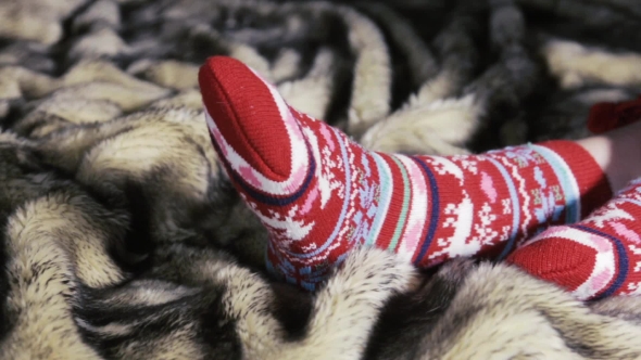 Female Legs In Christmas Socks Under a Blanket