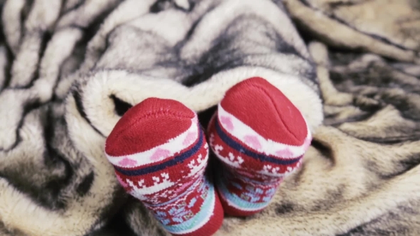 Female Legs In Christmas Socks Under a Blanket