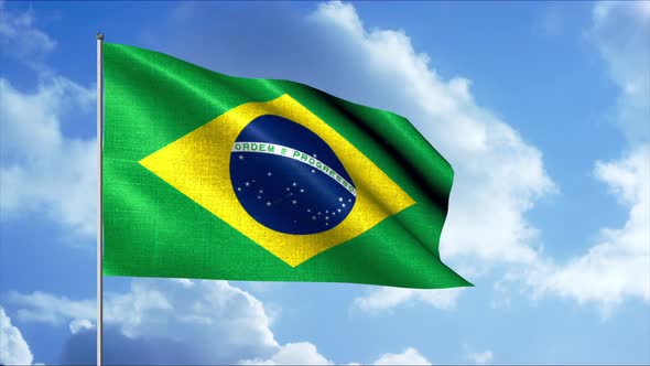 The Brazilian flag