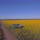 Beehives In A Sunflower Field Aerial Landscacpe - VideoHive Item for Sale
