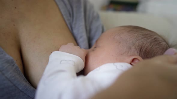 Mother Breastfeeding Small Boy on the Sofa at Home