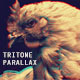 Tritone Parallax Slideshow - VideoHive Item for Sale