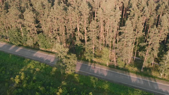 Aerial cycling on forest road