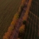 Aerial Flight Over The Road Between Fields. Autumn Colors. - VideoHive Item for Sale