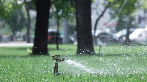 Sprinkler Irrigation In Park