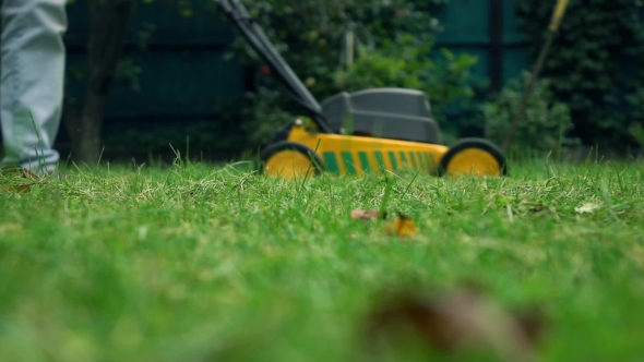 Grass And Man With Lawnmower