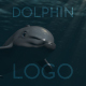 Dolphin Logo - VideoHive Item for Sale