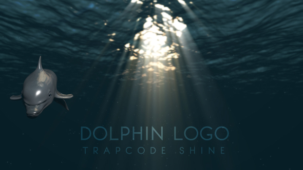 Dolphin Logo