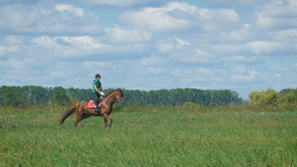 Beautiful Girl Riding a Horse In Countryside. Trot