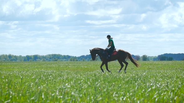 Beautiful Girl Riding a Horse In Countryside. Gallop