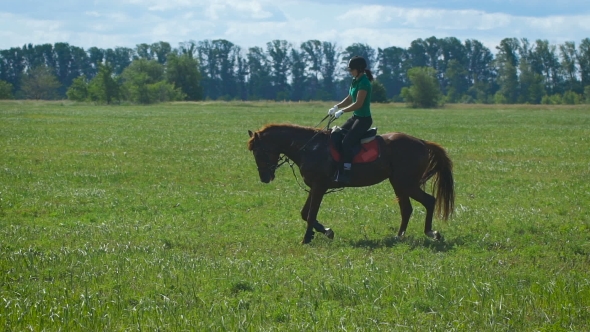 Beautiful Girl Riding a Horse In Countryside. Trot