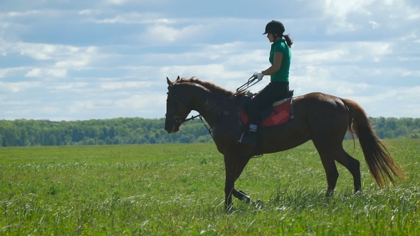 Beautiful Girl Riding a Horse In Countryside.