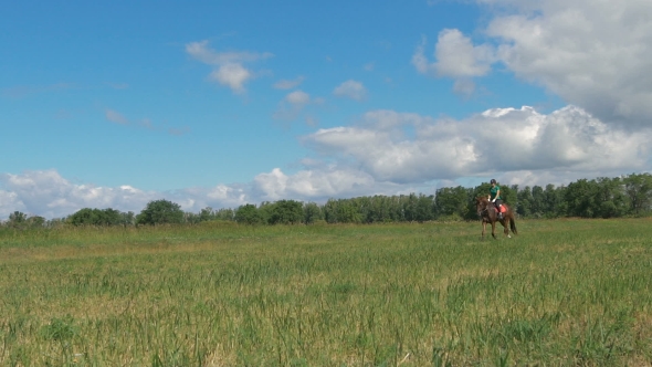 Beautiful Girl Riding a Horse In Countryside.