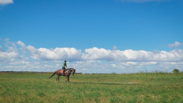 Beautiful Girl Riding a Horse In Countryside.