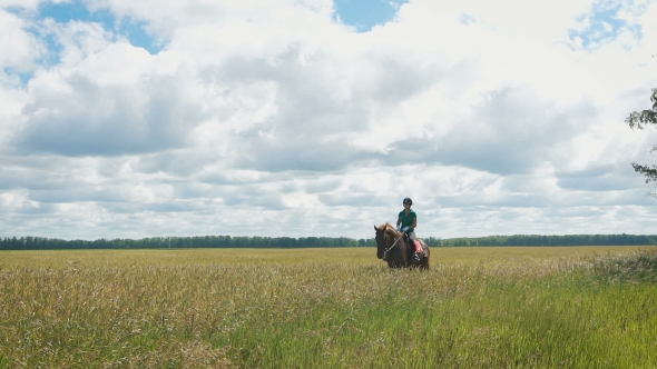 Beautiful Girl Riding a Horse In Countryside