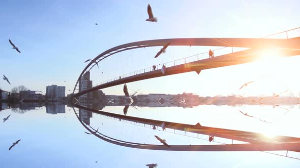 Modern Bridge Road Landscape Panorama Reflecting in Lake Water View. Birds Flying in Slow Motion