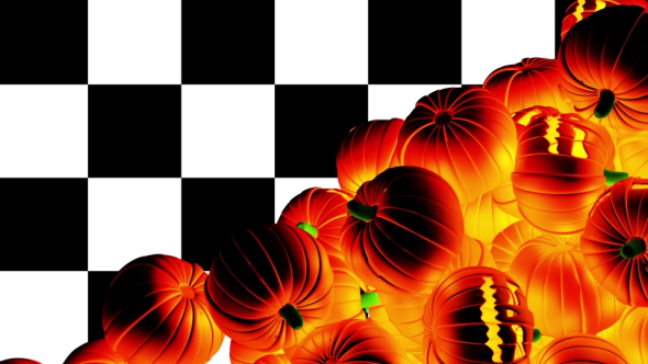 Halloween Pumpkins Transition