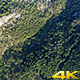 Green Forest - VideoHive Item for Sale