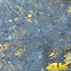Burned Pine Forest In Antalya - VideoHive Item for Sale