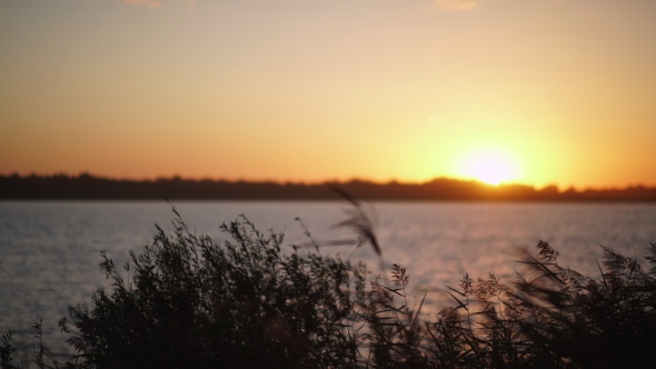 Beautiful Sunset By The River. Sunset In The Countryside