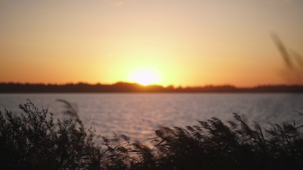 Sunset On The River Bank. The Orange Setting Sun.