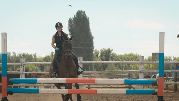 Young Woman Jumps Horse Over An Obstacle During Her Training In An Arena