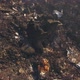 Burnt Garbage On Huge Dump Site - VideoHive Item for Sale