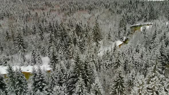 Beautiful view on an River with Mountains in Schiederweiher in Upper Austria Drone Video