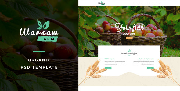 Warsaw : Organic Fruits & Vegetables PSD Template