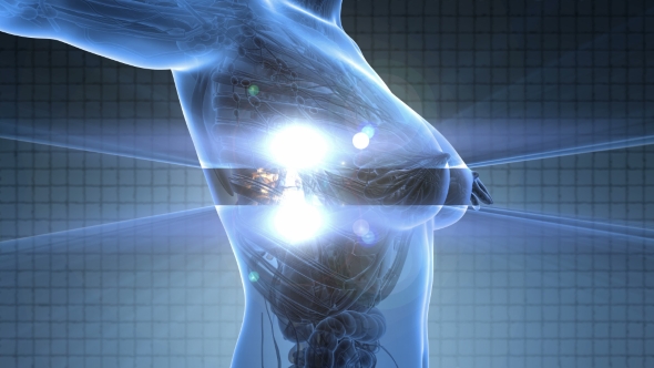 Human Body With Visible Skeletal Bones alt