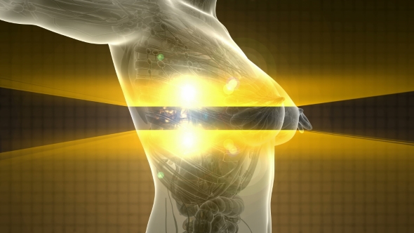 Human Body With Visible Skeletal Bones alt