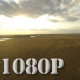 Golden Wheat Field Panorama - VideoHive Item for Sale